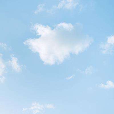 怪物甲壳虫汽车